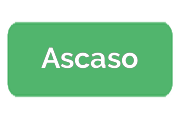 Ремонт кофемашин Ascaso