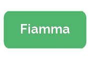 Ремонт кофемашин Fiamma