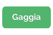 Ремонт кофемашин Gaggia