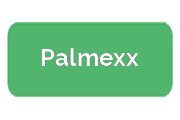 Ремонт гироскутеров Palmexx